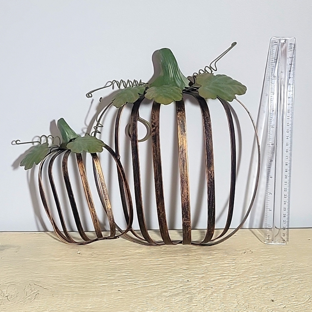 Pumpkins for fall